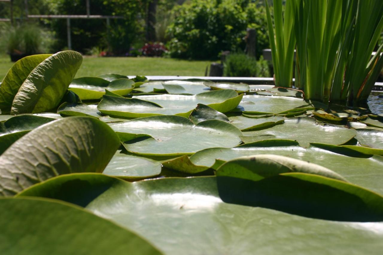 Céron Les Jardins Des Soussilanges B&B 외부 사진