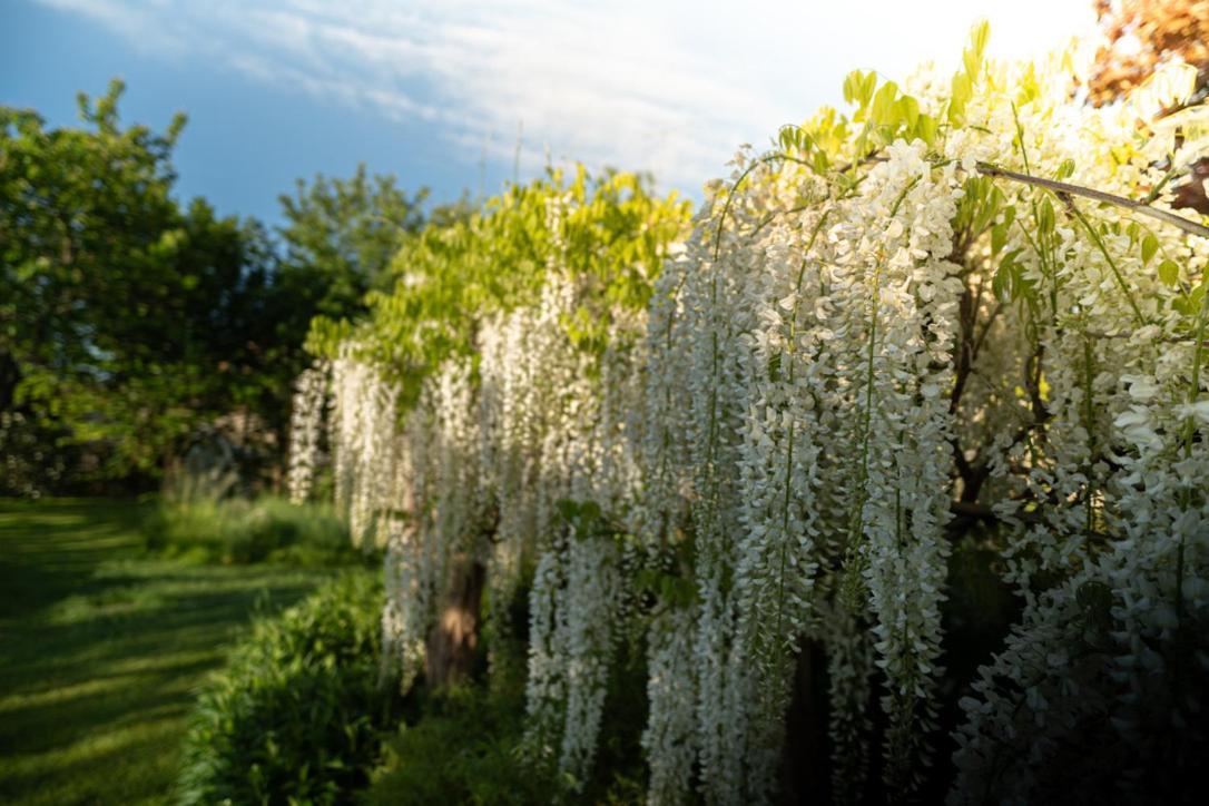 Céron Les Jardins Des Soussilanges B&B 외부 사진