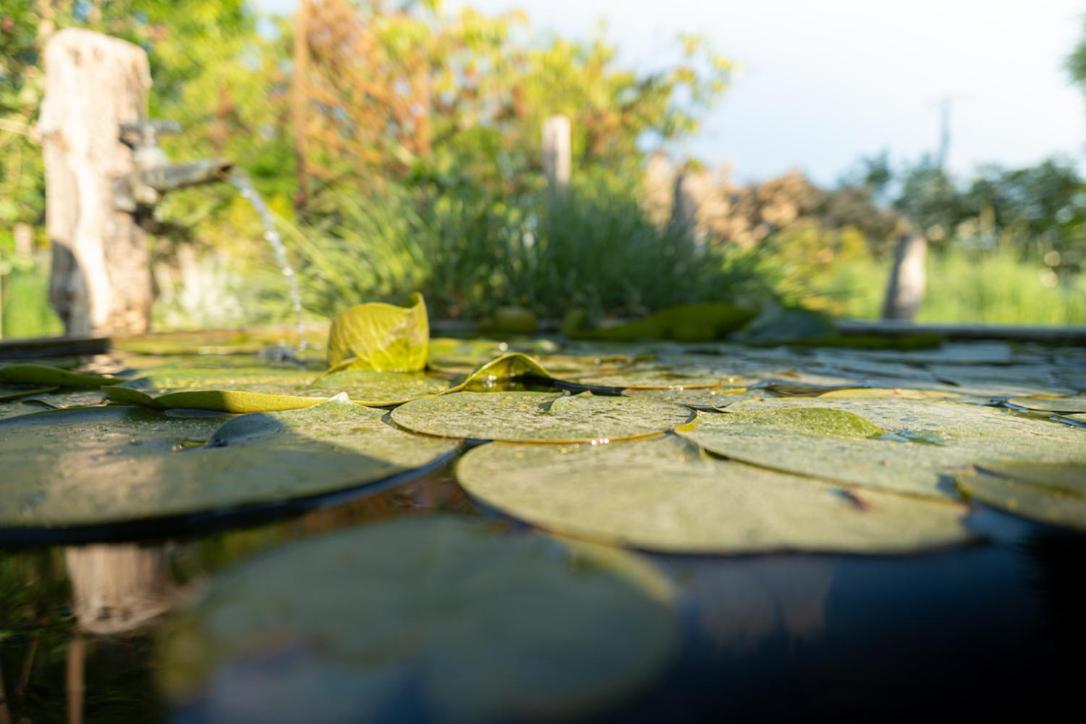 Céron Les Jardins Des Soussilanges B&B 외부 사진